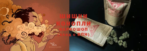 индика Балахна