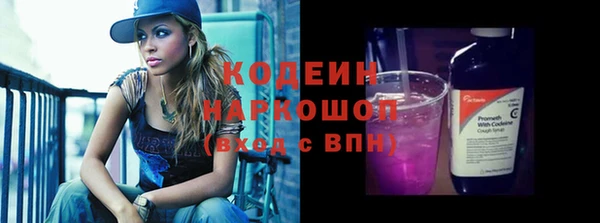 индика Балахна