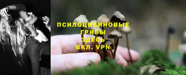 индика Балахна